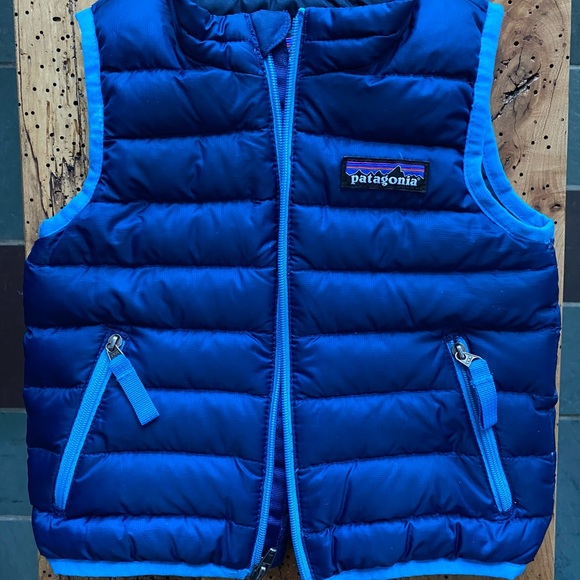 Patagonia Other - Patagonia down vest